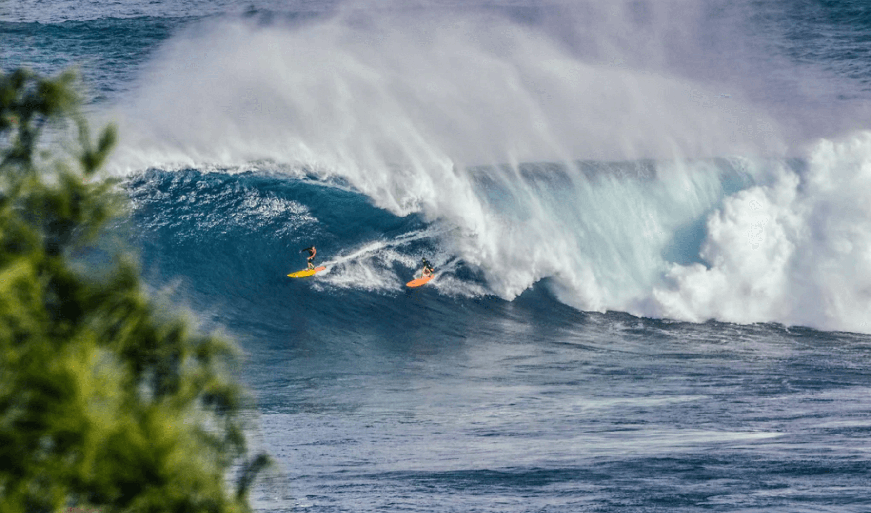 party wave on jaws hawaii