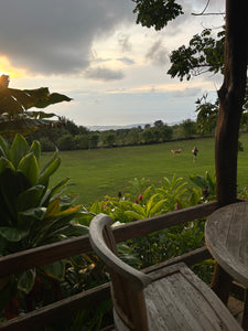 Hawaii Ocean Immersion Experience